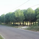 Vivenda Maria Da Nazaré Picamilho