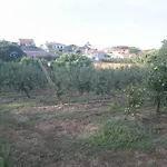 Vivenda Maria Da Nazaré Hébergement de vacances Picamilho