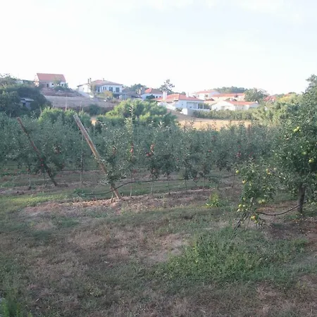 Vivenda Maria Da Nazare Ferienhaus Picamilho