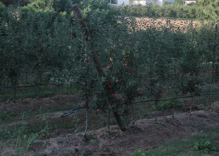 Vivenda Maria Da Nazare Prázdninový dům