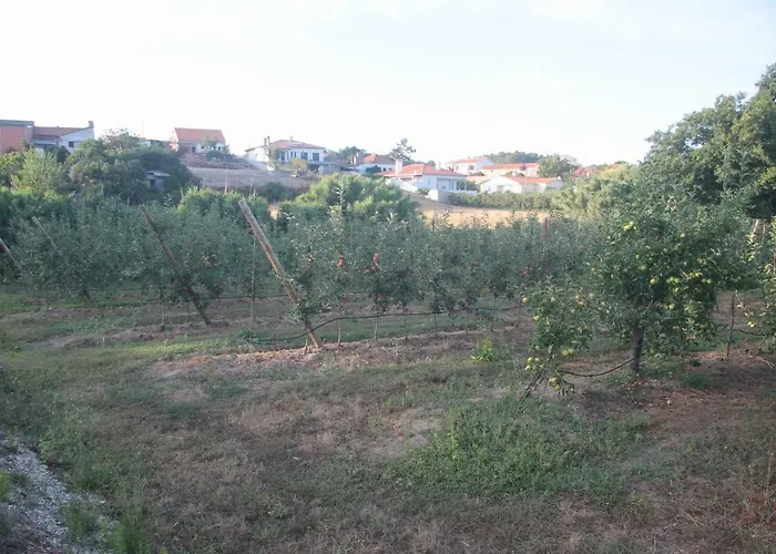 Vivenda Maria Da Nazare Prázdninový dům Picamilho